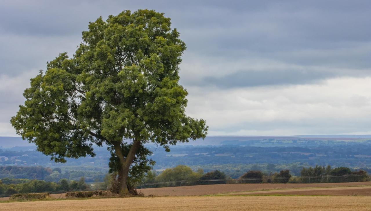 Hollins Farm - Dog Friendly, Self Catering Holiday Lodges Knaresborough Εξωτερικό φωτογραφία