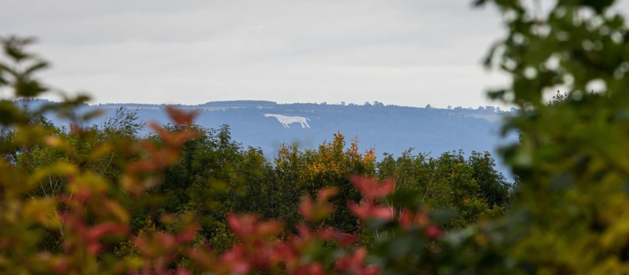 Hollins Farm - Dog Friendly, Self Catering Holiday Lodges Knaresborough Εξωτερικό φωτογραφία